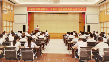 玉柴物流集團(tuán)成立汽貿(mào)營銷協(xié)會和金融服務(wù)協(xié)會